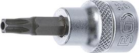Antgalis įpresuotas į galvutę | 10 mm (3/8") | T-star su skyle (Torx) T20 (2571)