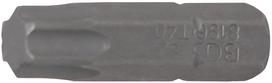 Antgalis | 6.3 mm (1/4") | T-Star (Torx) T40 (8196)