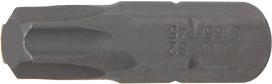 Antgalis | 8 mm (5/16") storio | T-star (Torx) T45 (8165)