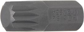 Antgalis | ilgis 30 mm | 10 mm (3/8") storis | Spline (XZN) | M12 (4854)