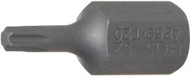 Antgalis | ilgis 30 mm | 10 mm (3/8") storis | T-Star (Torx) T20 (4869)
