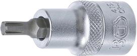 Antgalis | ilgis 55 mm | 12,5 mm (1/2") | Spline (Ribe) M6 (4151)