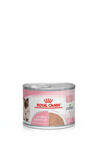 Royal Canin Babycat Instinctive mousse putėsiai jauniausiems kačiukams, 24 x 195 g