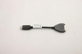 Lenovo DisplayPort to DVI dongle  cable