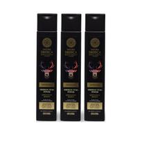 Šampūnas nuo pleiskanų Natura Siberica Men, 3 x 250 ml