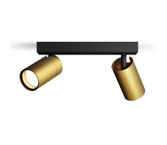 Philips - Akcentinis vonios šviestuvas IDRIS 2xGU10/5W/230V IP44 juoda/auksas