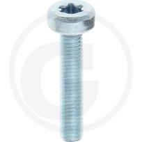 Tinkamas Stihl' varžtasCilindrui, M5 x 25 90754784159 017, 018, 019 T, MS 170, MS 180, MS 190 T