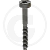 Tinkamas Stihl' varžtasCilindrui, 5,3 x 41 90754784195 021, 023, 025, MS211, MS230, MS250