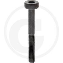 Tinkamas Stihl' varžtasCilindrui, 6 x 52 90754784735 029, 039, MS290, MS310, MS390