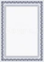 Dipl.popierius 170g Arkady N