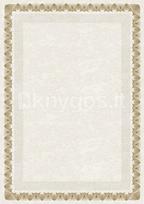 Dipl.popierius 170g Arkady Z