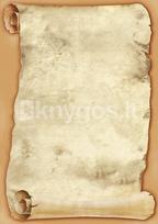 Dipl.popierius 170g Papirus