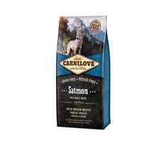 Carnilove Salmon for Adult begrūdis, šunims, 12 kg