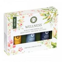 Wellness eterinių aliejų rinkinys