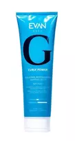 Formavimo gelis Curly Power Shaping Jelly, 300 ml EVAN30047
