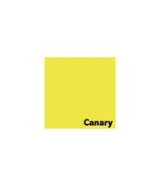 Spalvotas popierius IMAGE COLORACTION, A4, 80 gsm, 500 lapų, CANARY / DEEP YELLOW