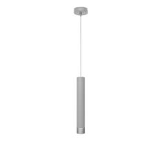 LED Pakabinamas sietynas TUBA 1xGU10/4,8W/230V pilkas/matinis chromas