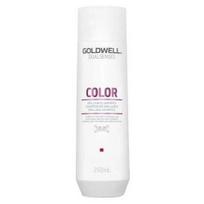 Dažytų plaukų šampūnas Goldwell Dualsenses Brilliance Color Shampoo 250ml