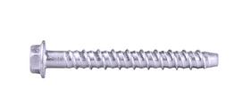 Betonsraigtis Rawlplug R-LX-14X080-HF-ZP; 17x80 mm; 20 vnt.