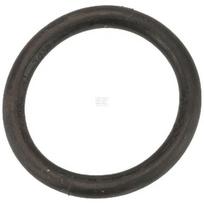 Žiedas sandarinimo 170x19mm 6652400