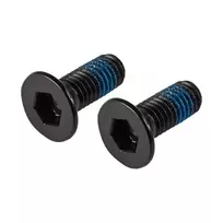 Lucky Scooter Brake Bolts
