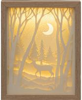 Šviečiantis paveikslas - dekoracija 3D MOON, su LED, 21x27 cm