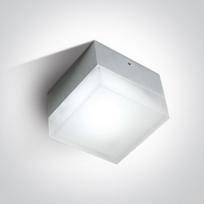 1W LED paviršinis šviestuvas, aliuminio sp., 6000K. Komplektuojama su maitinimo šaltiniu.