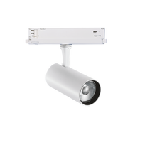 25W LED akcentinis šviestuvas į 3 fazių bėgelį FOX, baltas, 3000K, DALI