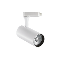 25W LED akcentinis šviestuvas į 3 fazių bėgelį FOX, baltas, 4000K