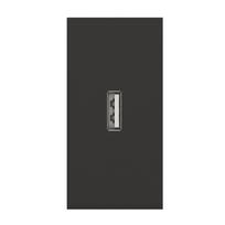 USB lizdas (juodos spalvos, be įkrovimo)