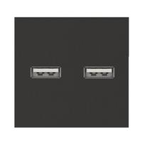 Dvigubas USB lizdas (juodos spalvos, su įkrovimu)