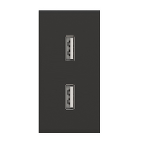 Dvigubas USB lizdas (juodos spalvos, su įkrovimu)