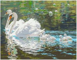 Piešimo rinkinys Gulbių ežeras 40x50