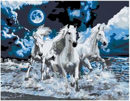 Piešimo rinkinys Naktis 40x50