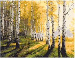 Piešimo rinkinys Beržynas 40x50