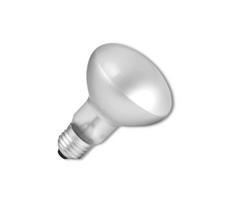 Didelio našumo elektros lemputė E14/40W/230V  2700K- Ecolite