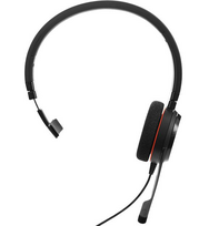 Ausinės Jabra Evolve 20 Special Eition Mono MS