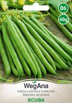 Nykštukinės šparaginės pupelės Scuba seeds 40g pupelių sėklos - WegAna