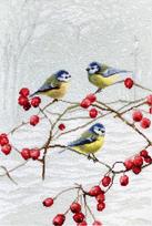 Blue Tits SLETI942 - siuvinėjimo kryželiu rinkinys