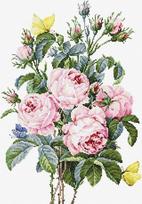 Bouquet of roses SBA2373 - siuvinėjimo kryželiu rinkinys