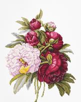 Bouquet with Peonies SB2354 - siuvinėjimo kryželiu rinkinys