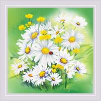 Chamomiles Flowers. Satin Stitch siuvinėjimo rinkinys iš RIOLIS Nr.: 0089 PT
