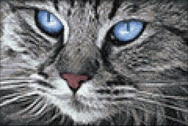 Blue-Eyed Cat 30х20 Deimantinio Paveikslo komplektas Cs2517