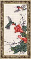 Colibry S/RS002