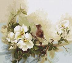 Bird SB2315 - siuvinėjimo kryželiu rinkinys