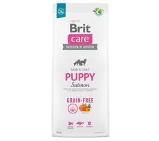 Brit Care Grain-free Puppy Salmon & Potato sausas maistas šunims , 2 x 12 kg