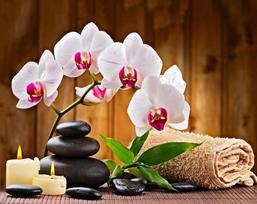 Deimantinis paveikslas Aromatherapy WD039 48*38 cm