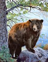 Deimantinis paveikslas Brown Bear WD083 38*48 cm