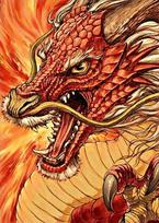 Deimantinis paveikslas Chinese Dragon WD177 27*38 cm
