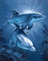 Deimantinis paveikslas Dolphins' Dating WD222 38*48 cm